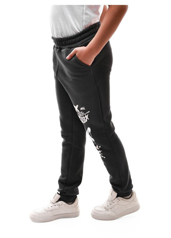 Штани спортивні для хлопчика підлітка No Brand (368996165)