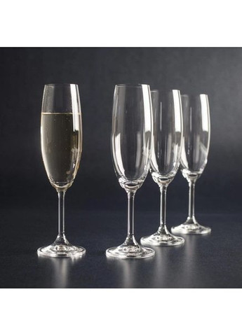 Набор бокалов для шампанского Lara 220 мл 6 шт 40415/220 Bohemia (342375424)