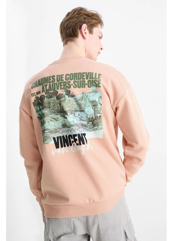 Розовый свитшот из хлопка vincent van gogh C&A однотонный (365716086)