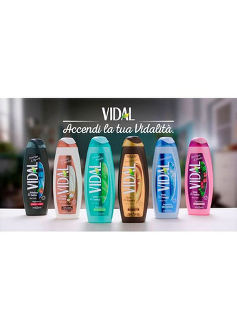 Гель для душу Мигдаль та Карите 500 мл (8008970055435) Vidal (323238201)