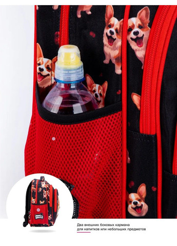 Рюкзак школьный для девочек /SkyName R2-213 Winner (331532385)