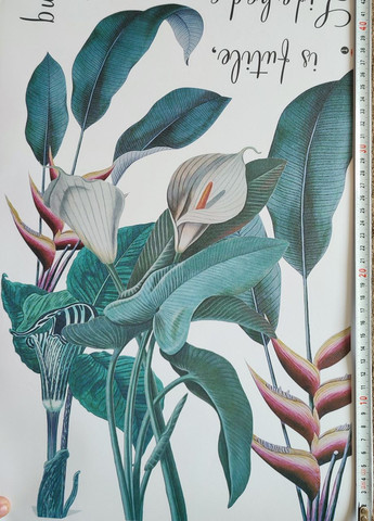 Вінілові наклейки на стіну Зелене листя квіти (лист 60 х 90 см) Б83-29 No Brand (302242169)