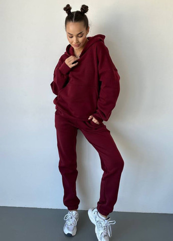 Жіночий костюм на флісі Україна (301476229)