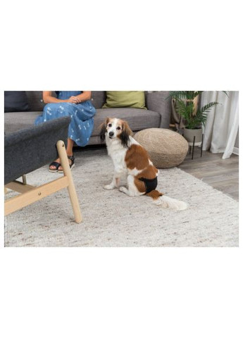 Труси гігієнічні Trixie S 24-31 см (чорні) (369880010)