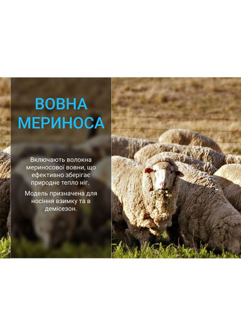 Шкарпетки Terrain Walking 2.0 Socks, чорно-сірі, розмір (47-49) (A-017637) DexShell (319391044)