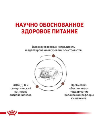 Сухий корм для дорослих котів Gastrointestinal Cat при гострих розладах травлення 400 г Royal Canin (376263880)