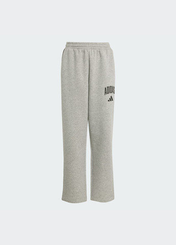 Серые спортивные демисезонные брюки adidas