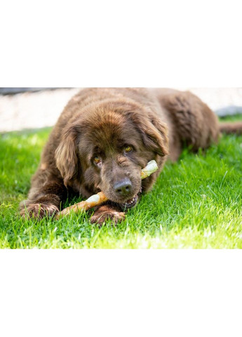 Лакомство Denta Fun для собак Палочки для чистки зубов с курицей 40 см 170 г Trixie (355255868)