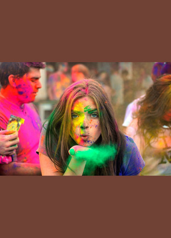 Краска Холи Holi Fest набор 50 пакетов пакеты 100 грамм 10 цветов No Brand (331738695)