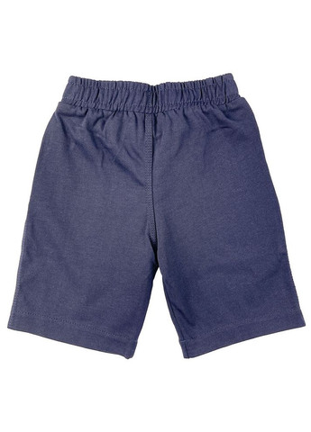 Трикотажные шорты для мальчика Flamingo (334630447)