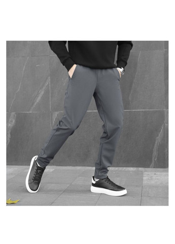 Серые повседневный демисезонные брюки No Brand