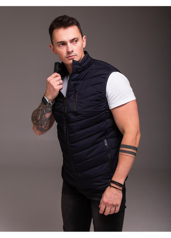 Жилет мужской утепленный съемный капюшон No Brand (352769049)