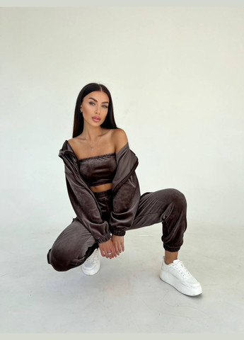 Костюм трійка велюровий Україна (316519695)