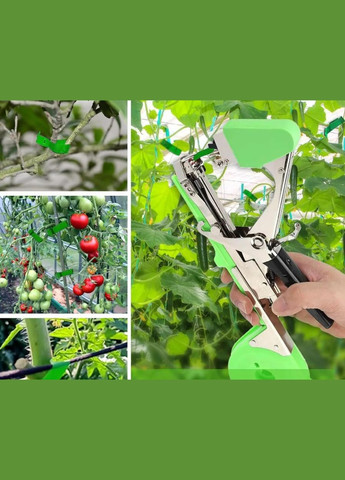 Садовий інструмент для підв'язки рослин і квітів Tapetool (316277162)