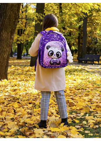 Шкільний ранець для дівчаток SkyName 5025 Winner One (278404597)