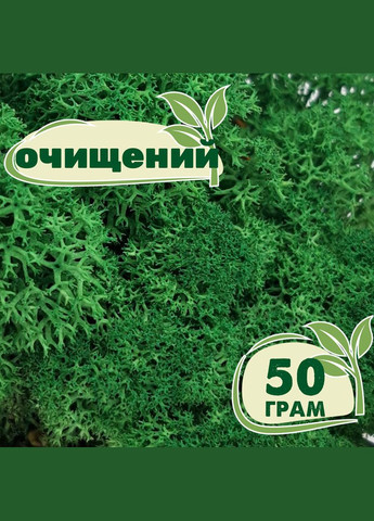 Очищенный стабилизированный мох ягель Зеленый травяной темный 50 грамм Nordic moss (276401060)
