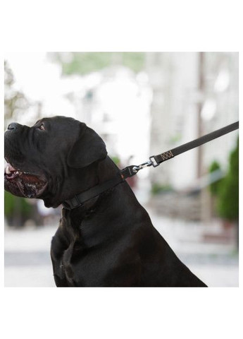 Повідець для собак (42131) Evolutor 300 см 25 мм чорний (366489304)