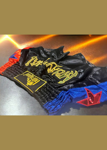 Шорти для тайського боксу кікбоксингу муай тай тайський бокс GDragon Sport чоловічі кікбокс Атлас Чорно-червоно-сині 4_1_L_14 No Brand (317843975)