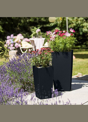 Умный вазон Cubico Cottage 40 31 л песочно-коричневый 15288 Lechuza (316623031)