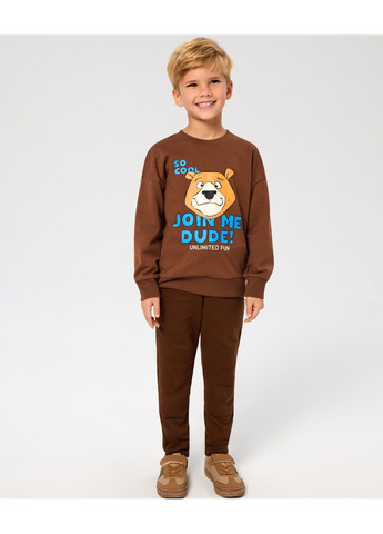 Sinsay світшот для хлопчика . малюнок коричневий повсякденний трикотаж