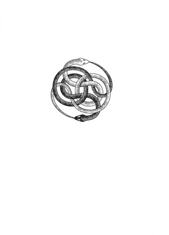 Завірюха Vivat (370069133)