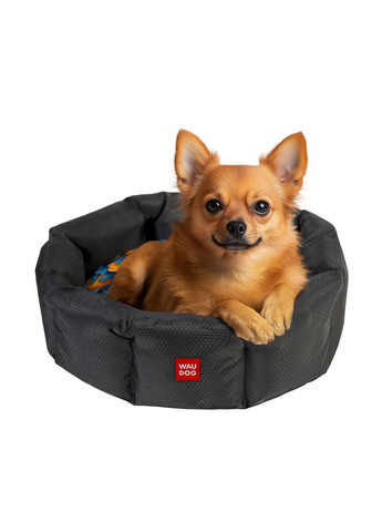 Лежанка для собак Relax, рисунок "Апельсины", M, Ш 42 см, Дл 52 см, В 19 см WAUDOG (329745625)