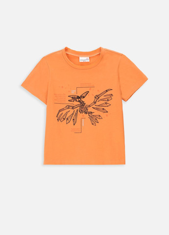 Оранжевая футболка Coccodrillo