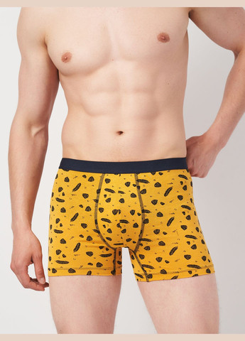 Трусы (3шт) Basic Collection (295079691)