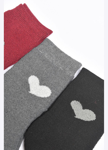 Комбинированные набор носков женских махровых 3 штуки Let's Shop рисунки (304251752)