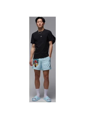Чорна футболка чорна ib7520-010 Nike JORDAN FLIGHT ESSENTIALS