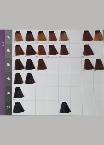 Крем-краска для волос Gamma Color 100ml Erayba (331016276)