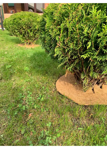 Пристовбурне коло Ø 80 см EuroCocos з кокосового волокна для мульчування ґрунту Green Home (321967431)