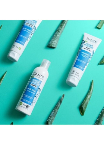 БІО-Шампунь Intense Hydration для зволоження волосся з Алое 250 мл Sante (298055761)