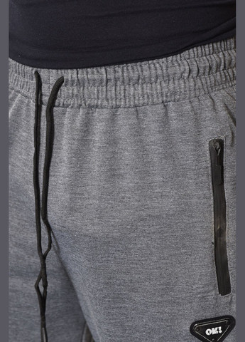 Спортивні штани чоловічі світло-сірого кольору Let's Shop (288537164)