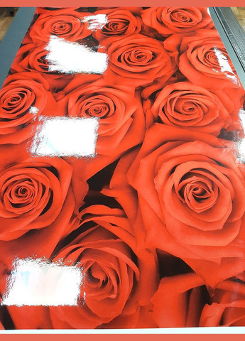 Покриття для столу 60 х 100 см, м'яке скло з фотодруком, Червоні троянди (1 мм) (МСПБfl13595) Декоинт (278288103)