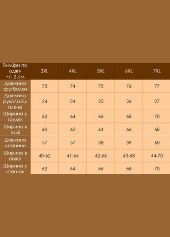 Чоловічий костюм футболка + шорти Батал No Brand (342718222)