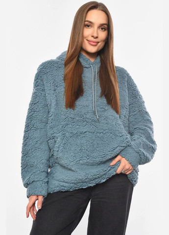 Худі жіноче тедді блакитного кольору Let's Shop (304609892)