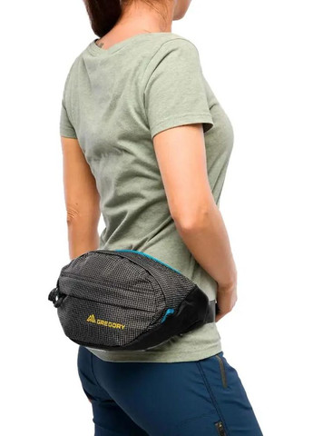 Сумка на пояс Hiking Nano Waistpack Essential 3.5 Black Gregory (316446412)