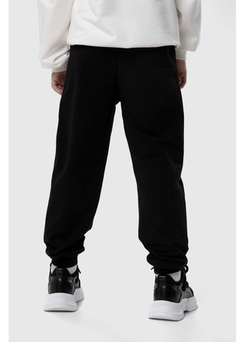 Спортивні штани Atabey (292710712)