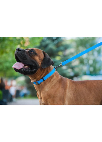 Поводок для собак водостойкий Waterproof, L-XXL, Ш 25 мм, Длинна 122 см голубой WAUDOG (322642009)