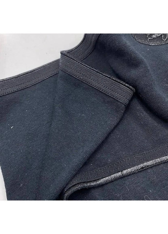 Набор женских трусиков Esmara максі (366431282)