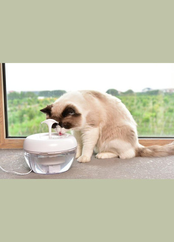 Питьевой фонтан для кошек 1.5L, поилка для кота с фильтром Белый PAWOOF (299915344)