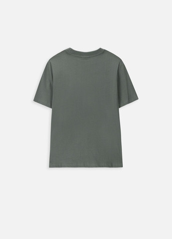Хаки (оливковая) футболка Coccodrillo