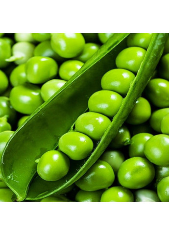 Семена гороха Преладо Syngenta (333339624)