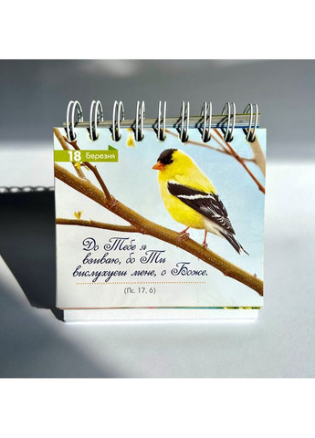 365 дней роста в вере Свічадо (354253394)