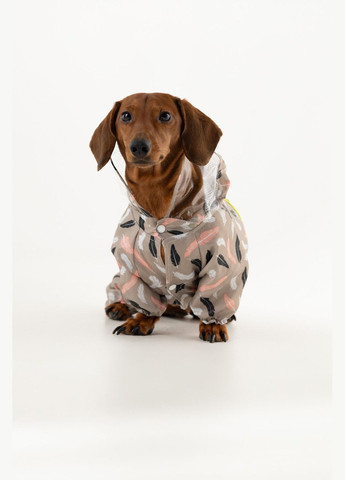 Комбінезон дощовик для тварин KM52618 (2000990380456D) shop (2000990380456) KUMAOCHONGWUYONGPIN (363829758)