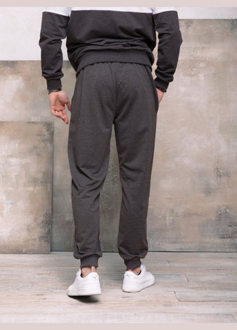 Темно-серые спортивные демисезонные брюки ISSA PLUS