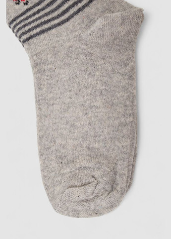 Сірі шкарпетки жіночі з принтом, колір бежевий, 238r336-4 Bulut (361030838)