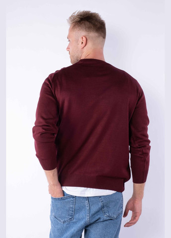 Прозорий демісезонний джемпер (бордо) Time of Style