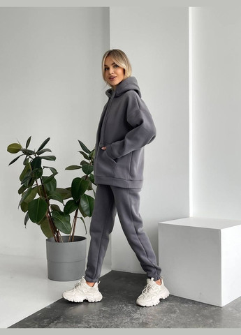 Теплий жіночий костюм із капюшоном Fashion (303398341)